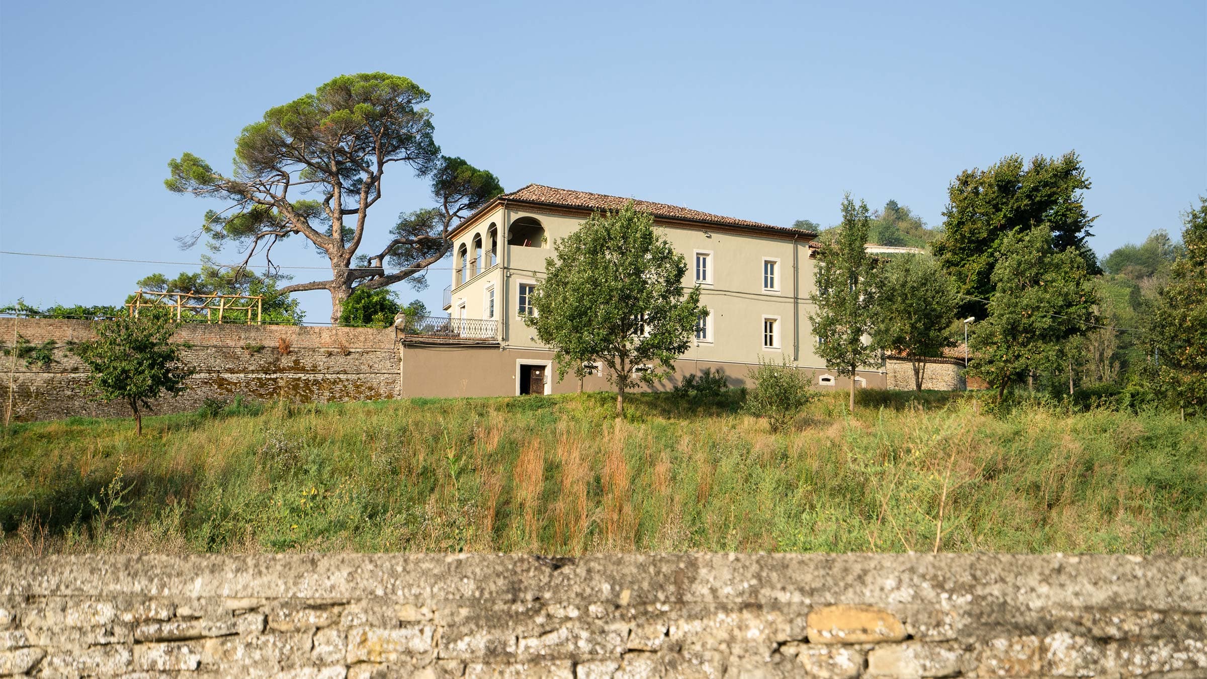 vigne di fagnano tenuta pino marittimo secolare